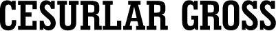 Cesurlar Gross Market logosu